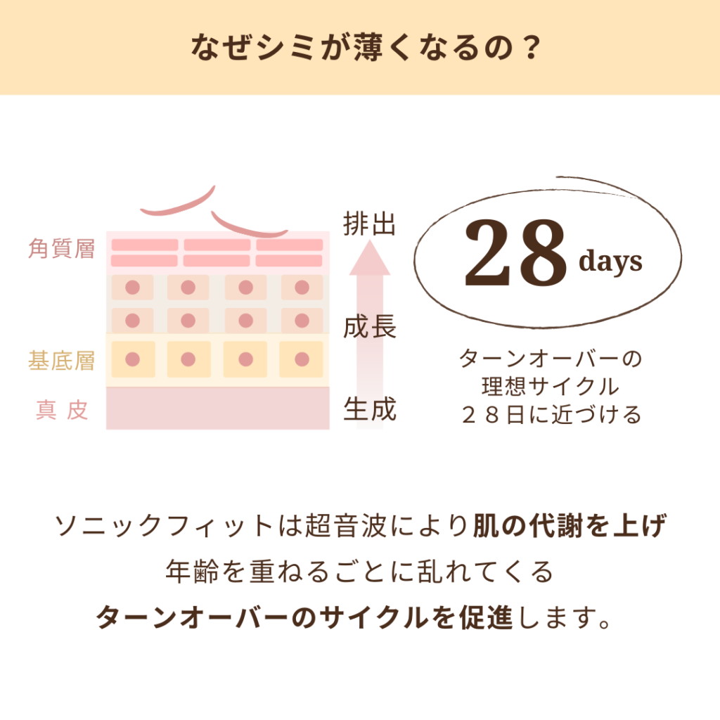 シミが薄くなる理由