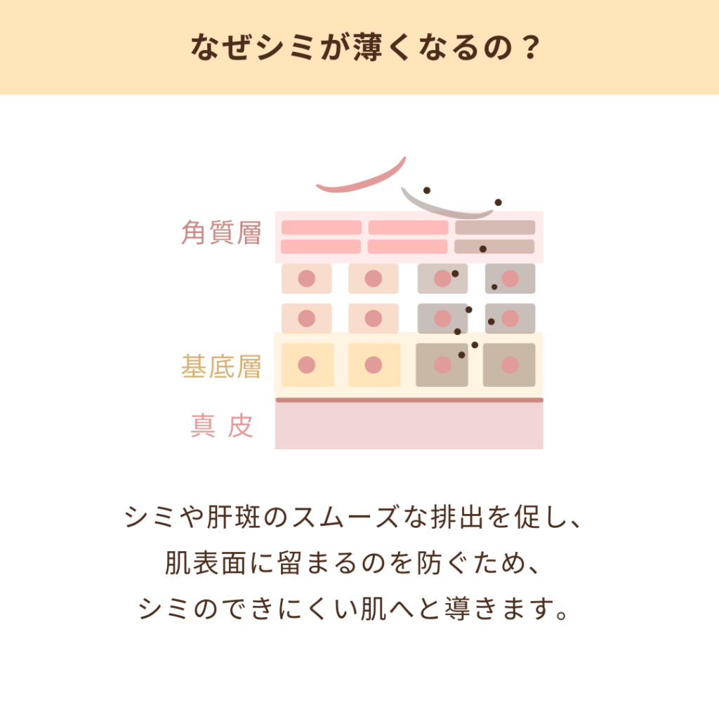 シミが薄くなる理由